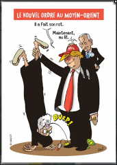 Capture d'écran 2025-06-29 105553.png