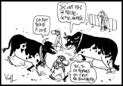 Capture d'écran 2024-11-18 152131.png