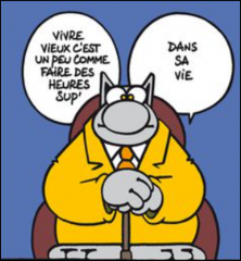 Capture d'écran 2025-06-01 142019.png