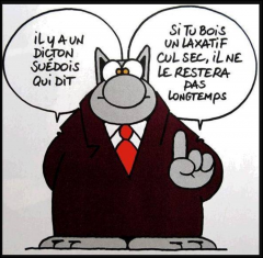 Capture d'écran 2025-11-26 182844.png