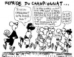 20090731Reprise du foot.jpg