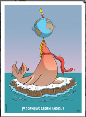 Capture d'écran 2026-01-23 191438.png