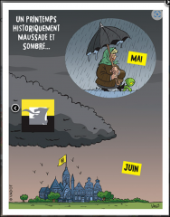 Capture d'écran 2024-05-31 182126.png