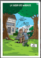 Capture d'écran 2025-06-13 155921.png
