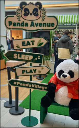 Capture d'écran 2026-02-14 153822.png