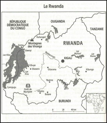 Capture d'écran 2025-11-24 102715.png