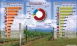 In vino carré d'as Productions.jpg