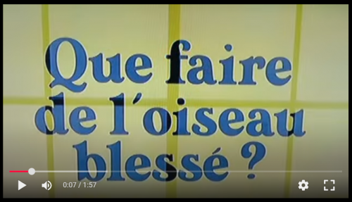 Capture d'écran 2025-11-16 102301.png