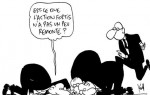 20090204Fortis remonte.jpg