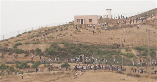Capture d'écran 2026-08-01 131555.png