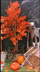 Capture d'écran 2025-10-20 131929.png