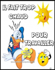 Capture d'écran 2025-07-05 092023.png