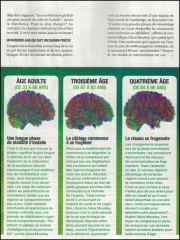 Capture d'écran 2026-03-09 075905.png