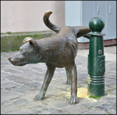 Capture d'écran 2024-05-27 182226.png