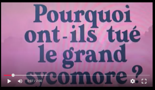 Capture d'écran 2025-05-12 141300.png