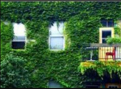nature,ecologie